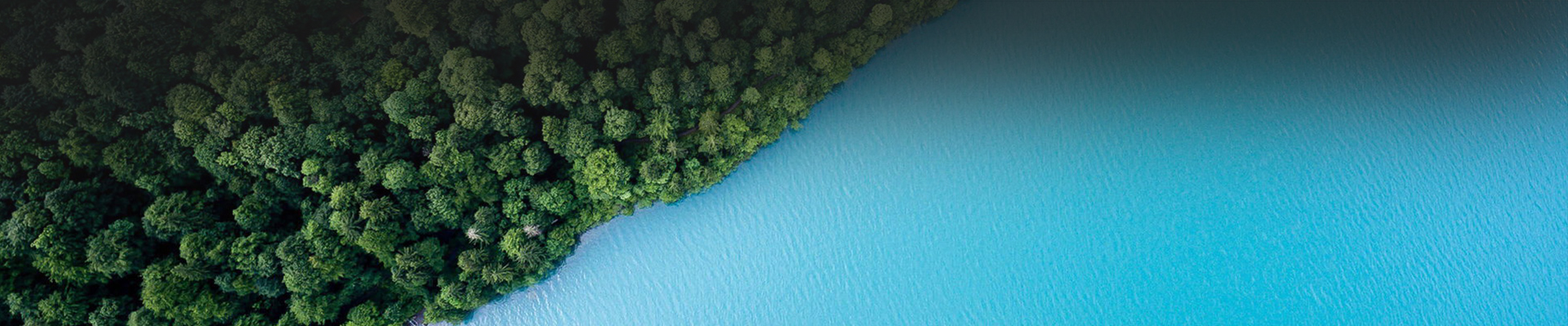 浙江東生環(huán)境科技有限公司